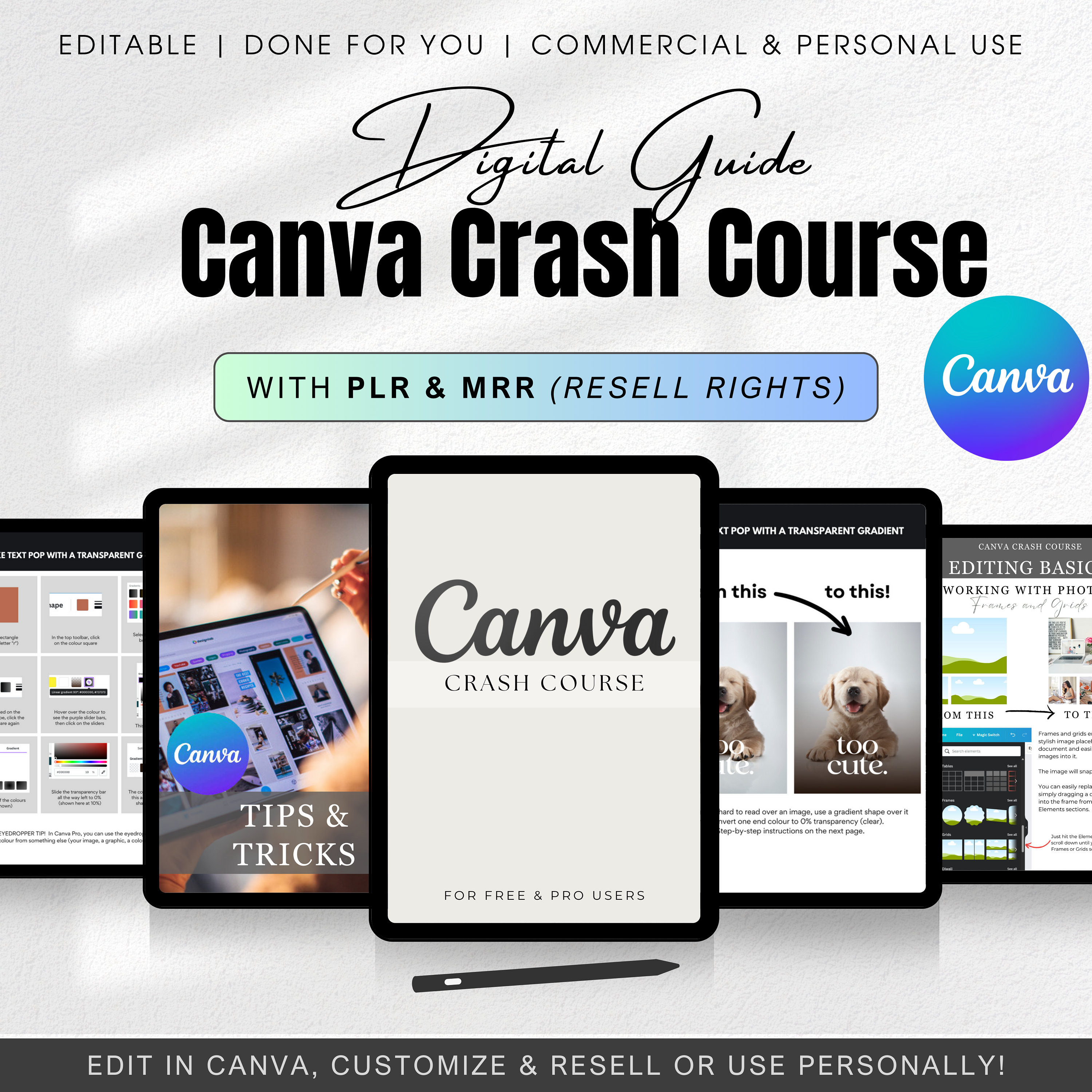 Canva Crash Course | How to Guide With Master Resell Rights MRR and ...