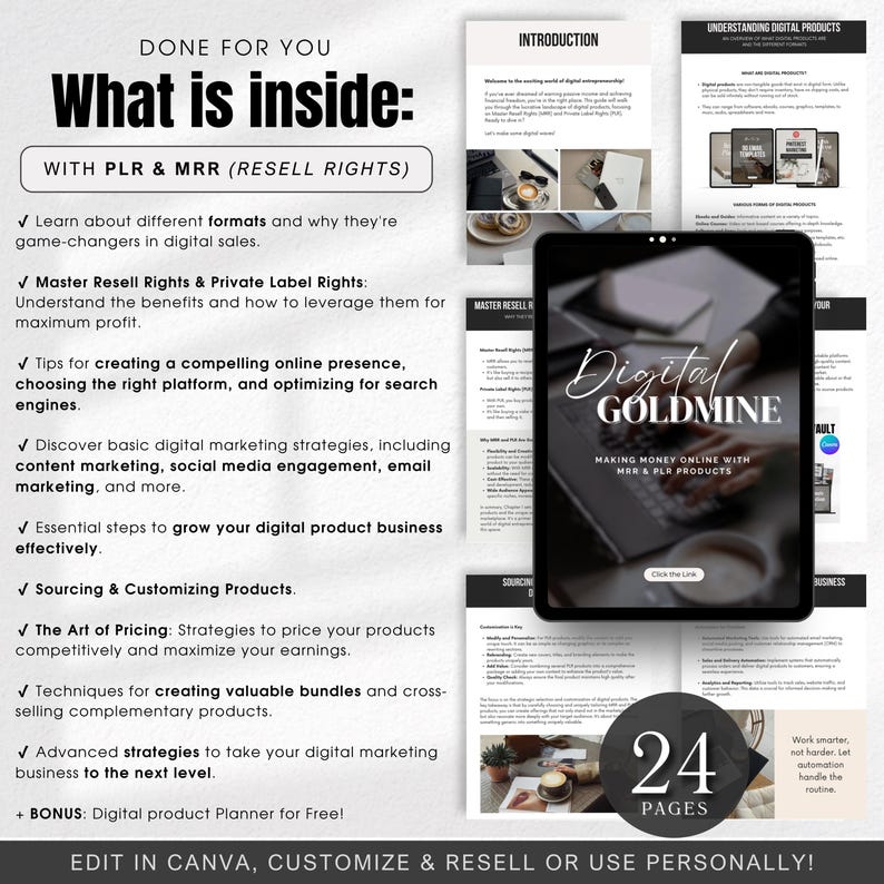 Digital Goldmine Guide Passive Income With MRR & PLR Products Private ...