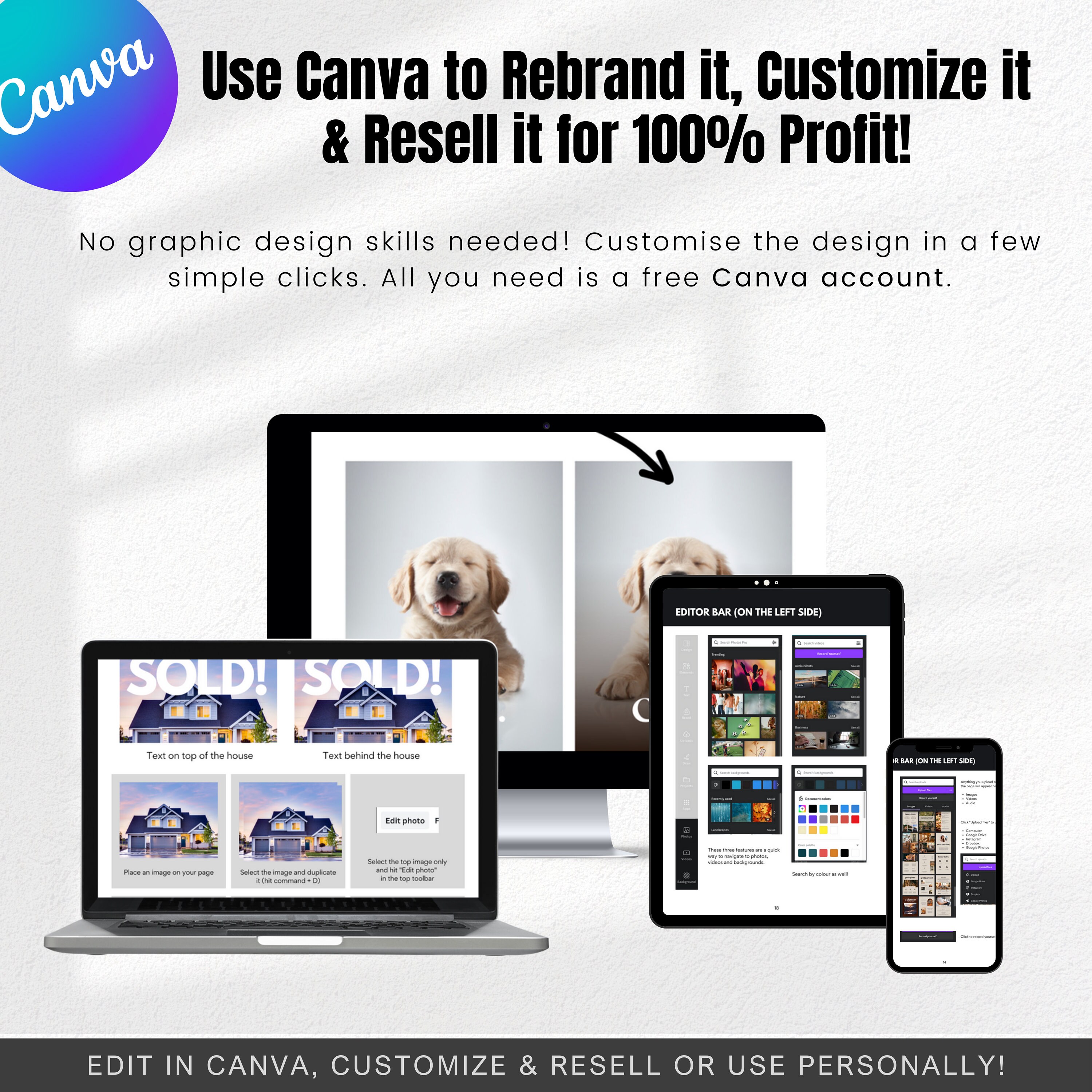 Canva Crash Course | How to Guide With Master Resell Rights MRR and ...