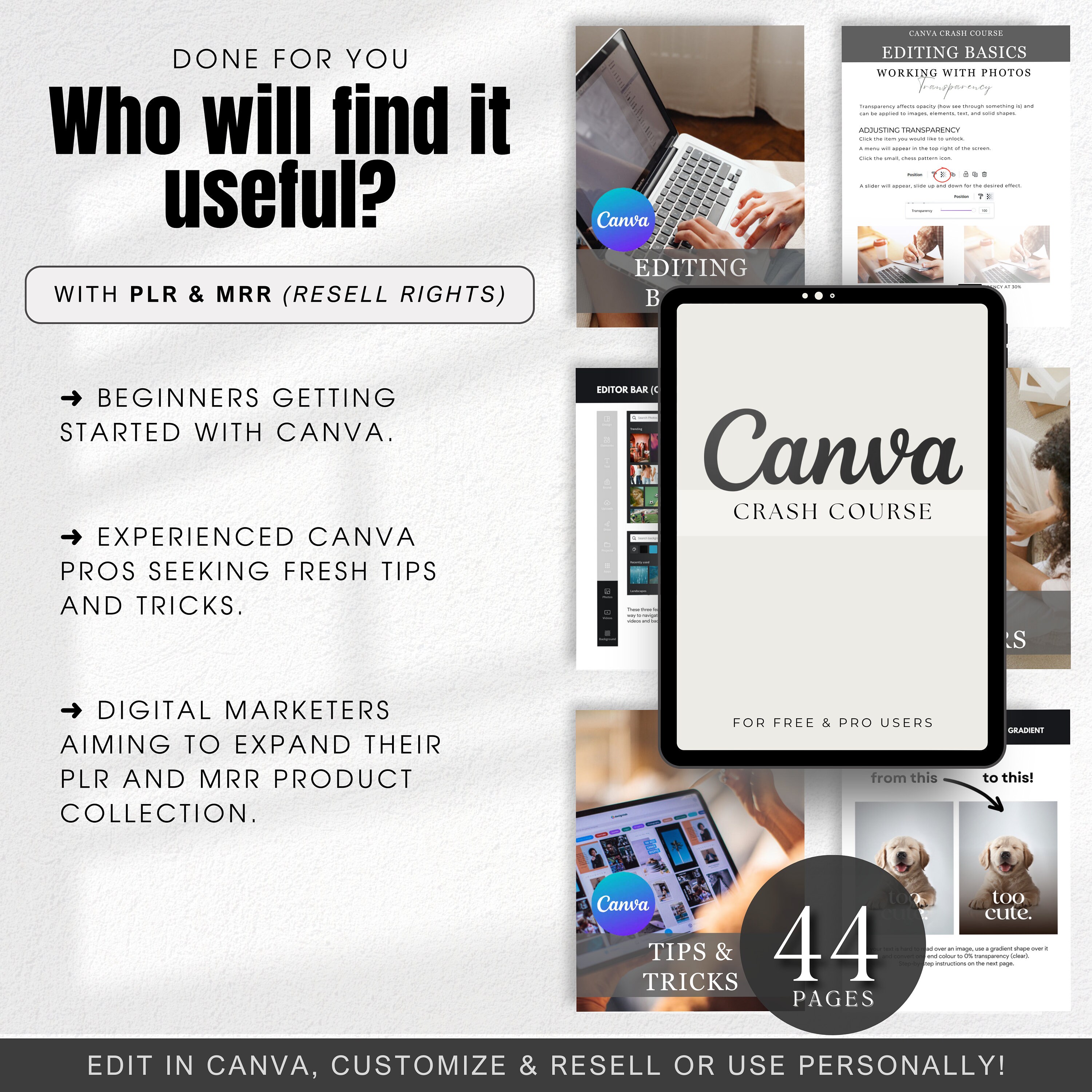 Canva Crash Course | How to Guide With Master Resell Rights MRR and ...