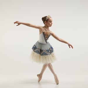 Costume for a choreographic competition ballet The Pharaoh’s Daughter Ramsay variation  ballerina costume dance core ballet Romantic tutu