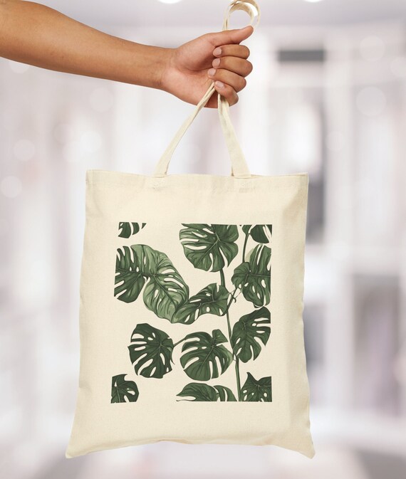 monstera und philodendron Philodendron Monstera Deliciosa 4