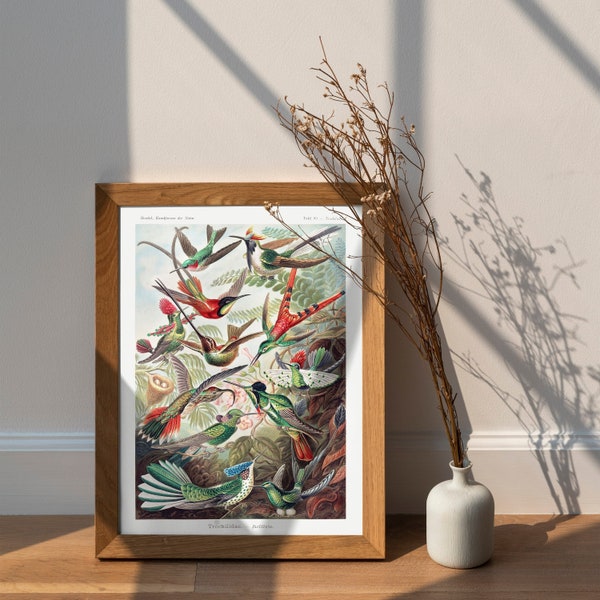 Exotic birds art print, Birds of prey wall art