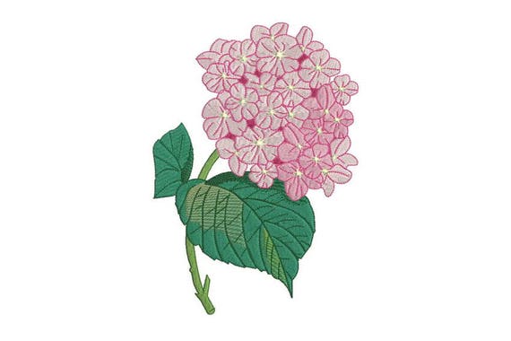 Machine Embroidery Vintage Hydrangea Machine Embroidery File design 5 x 7 inch hoop