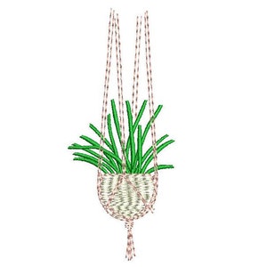 Op de afbeelding: Een hangende plantenhanger met een groene plant erin. De plantenhanger is gemaakt van macramé en heeft een witte achtergrond met bruine accenten. De plant is een soort succulent.