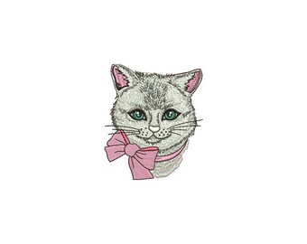May include: A gray cat with green eyes wearing a pink bow and collar.