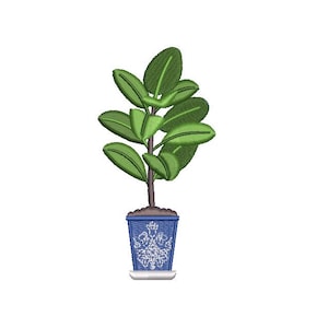 May include: A potted plant with green leaves in a blue and white patterned pot. The pot has a white base.
