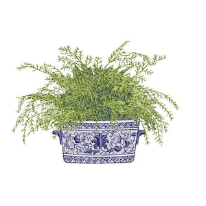 May include: A blue and white ceramic planter with a floral design, filled with green leafy plants.