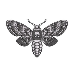 Könnte beinhalten: Ein schwarz-weißer Schmetterling mit einem Totenkopf-Design auf seinem Körper. Der Schmetterling hat komplizierte Flügelmuster und ist ein beliebtes Motiv in Kunst und Design.