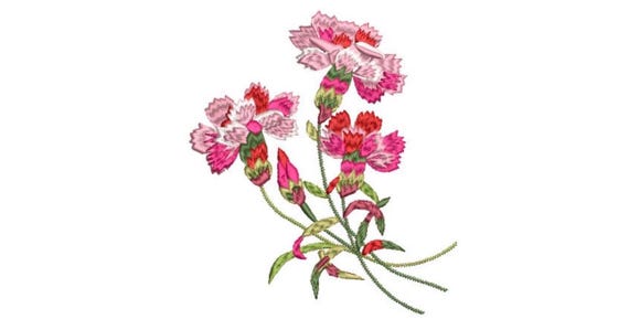 Carnations Flowers Machine Embroidery File design - 5x7 inch hoop - Carnation design