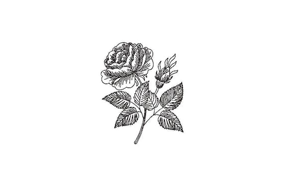 Rose Line Art Machine Embroidery File design - 4 x 4 inch hoop - Rose Stem