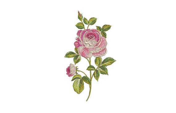 Rose Embroidery - File design 5 x 7 inch hoop - Silhouette - Shabby Chic Rose Stem- Machine embroidery