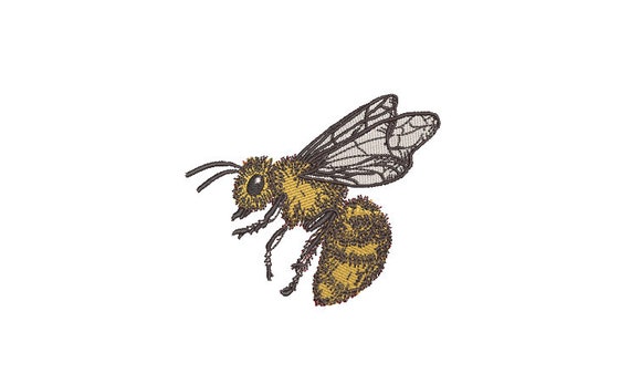 Bee Sketch embroidery file - Machine Embroidery File design - 4 x 4 inch hoop - Bee Embroidery Design