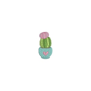 May include: A small potted cactus with pink flowers in a light blue pot with a pink heart on the front.