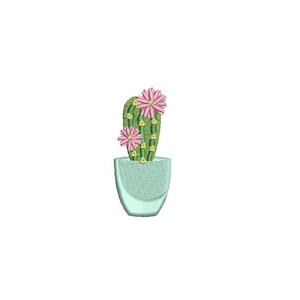 May include: A green cactus with pink flowers in a light blue pot.
