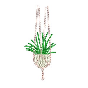 Può includere: Una pianta verde in un vaso sospeso in macramè bianco con una corda rosa e bianca.