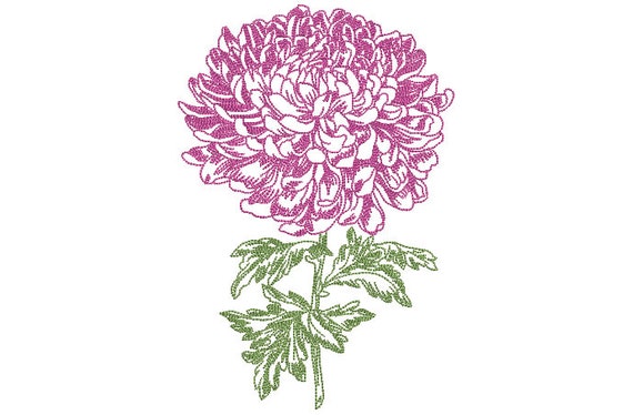 Chrysanthemum Embroidery - Flower Machine Embroidery File design - 5x7 inch hoop - instant download