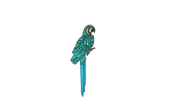 Machine Embroidery Blue Macaw Machine Embroidery File design 4x4 inch hoop