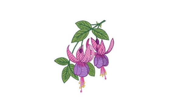 Fuchsia Embroidery Design - Fuchsias Embroidery File - Machine Embroidery File design - 4 x 4 inch hoop - Instant Download