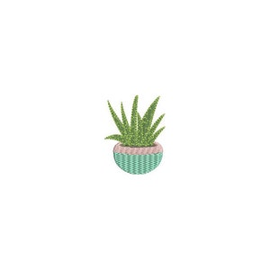 May include: A green succulent plant in a light blue and pink pot.
