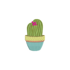 Puede incluir: Un cactus verde con una flor rosa en una maceta azul y amarilla.