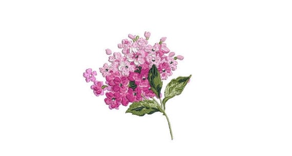 Pink Hydrangeas Embroidery - Hydrangea - Machine Embroidery File design - 4 x 4 inch hoop - Instant Download