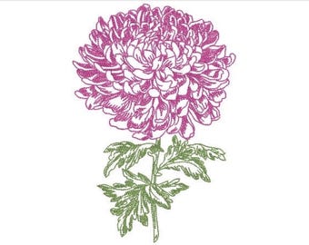 Chrysanthemum Embroidery - Flower Machine Embroidery File design - 5x7 inch hoop - instant download