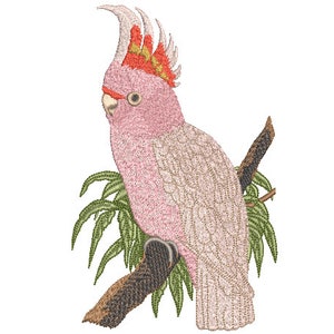 Australian Cockatoo Pink Bird - Machine Embroidery File design - 5x7 hoop - Fauna Embroidery Design