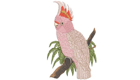 Australian Cockatoo Pink Bird - Machine Embroidery File design - 5x7 hoop - Fauna Embroidery Design