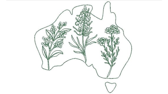 Native Flowers Australia- Machine Embroidery File design - 8 x 8 inch hoop - Australian Embroidery - Instant download