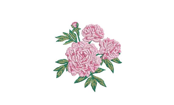 Pink Peonies Machine Embroidery File design 4 x 4 inch hoop - Flower Design- Instant Download