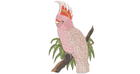 Australian Cockatoo Pink Bird - Machine Embroidery File design - 5x7 hoop - Fauna Embroidery Design