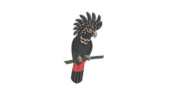 Machine Embroidery Red Tailed Black Cockatoo Machine Embroidery File design 4x4 inch hoop