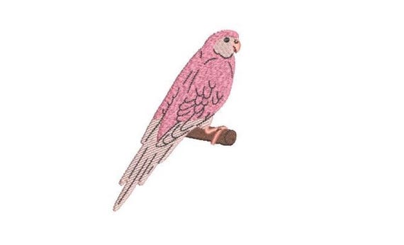 Sundown Parrot Embroidery - Machine Embroidery Parrot Machine Embroidery File design 4x4 inch hoop