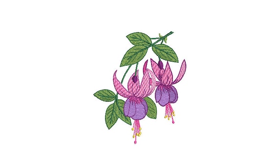 Fuchsia Embroidery Design - Fuchsias Embroidery File - Machine Embroidery File design - 4 x 4 inch hoop - Instant Download