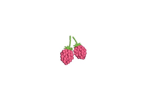 Kawaii Raspberries Mini Machine Embroidery File design 4 x 4 inch hoop Raspberry