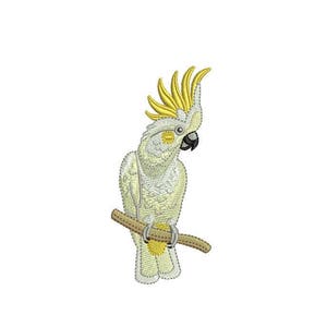 May include: A white cockatoo with a yellow crest perched on a branch. The bird is facing to the right and has a black beak.