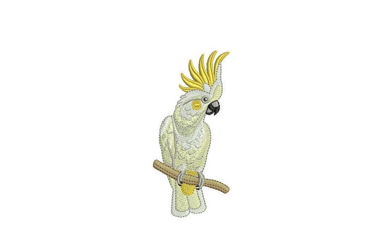 May include: A white cockatoo with a yellow crest perched on a branch. The bird is facing to the right and has a black beak.