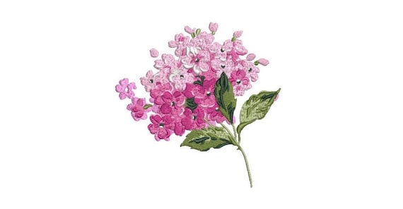 Pink Hydrangea Embroidery - Flower Machine Embroidery File design - 5x7 inch hoop - instant download