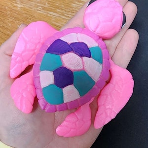 Painted Sea Turtle