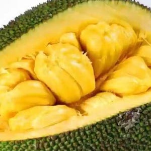 May include: A close-up of a jackfruit cut open, revealing the yellow, fleshy interior. The jackfruit is green on the outside and has a rough texture.