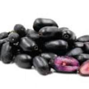 Java Plum |jamun Plant(1-2ft) in One Gal Pot , Syzygium Cumini, Black ...