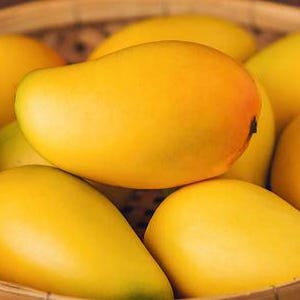 May include: A basket filled with ripe yellow mangoes. The mangoes are arranged in a circular pattern, with some overlapping.