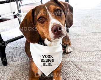 Pet Bandana Mockup JPG White Bandana Mockup Dog Bandana Mockup Real Dog Bandana Mockup Real Product Mockup Pet Mockup