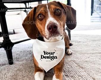 Dog Bandana Mockup JPG White Pet Bandana Mockup Dog Bandana Mockup Real Dog Bandana Mockup Real Product Mockup Pet Mockup