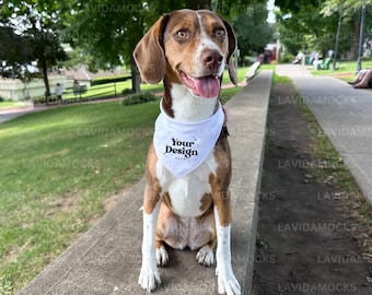 Dog Bandana Mockup JPG White Pet Bandana Mockup Dog Bandana Mockup Real Dog Bandana Mockup Real Product Mockup Pet Mockup