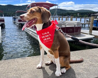 Dog Bandana Mockup JPG White Pet Bandana Mockup Dog Bandana Mockup Real Dog Bandana Mockup Real Product Mockup Pet Mockup