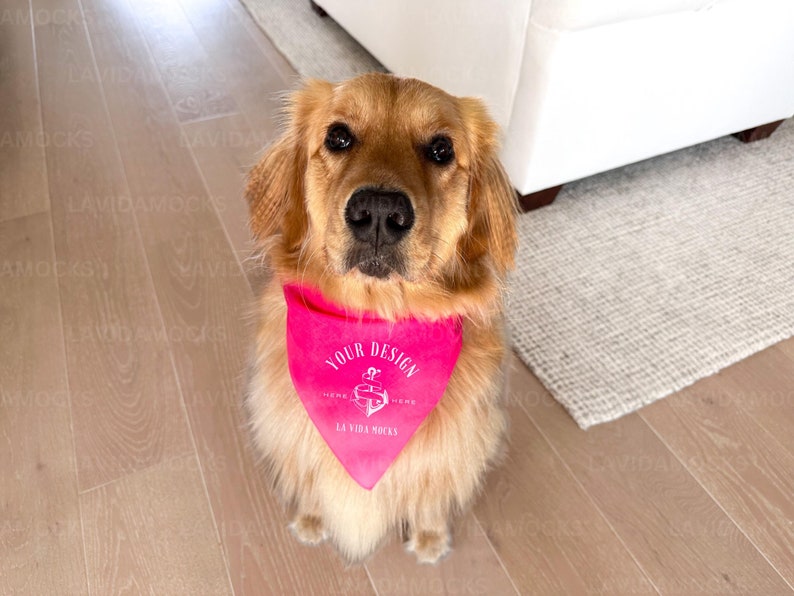 Pet Bandana Mockup JPG Pink Bandana Mockup Dog Bandana Mockup Real Dog Bandana Mockup Real Product Mockup Pet Mockup
