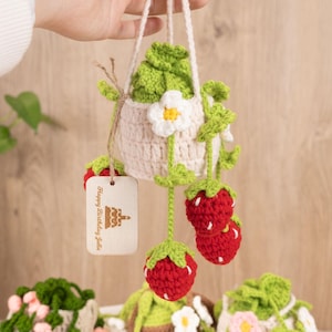 May include: A crocheted strawberry hanging planter with a white crocheted flower and a wooden tag that says "Happy Birthday Julie".