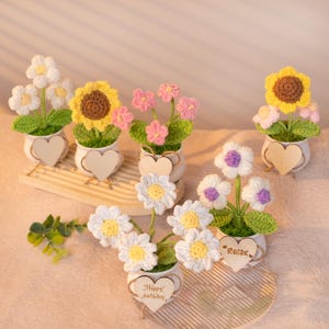May include: Five crocheted flower arrangements in white pots with wooden heart-shaped tags. The tags have the words "Relax", "Happy Birthday", and other messages. The flowers are in various colors, including yellow, pink, and purple.